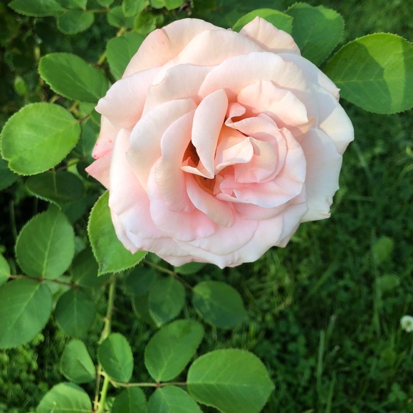 Meet your Posher, Kristen - Picture 1 of 1